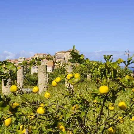 Palazzu
